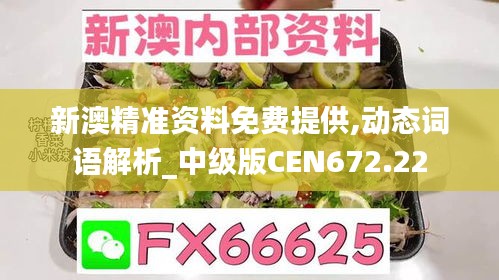 新澳精准资料免费提供,动态词语解析_中级版CEN672.22