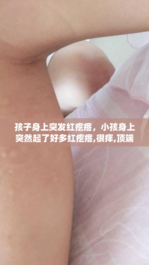 商品分类 第108页
