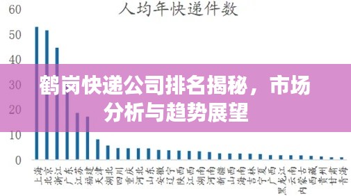 鹤岗快递公司排名揭秘，市场分析与趋势展望