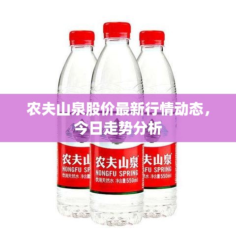 农夫山泉股价最新行情动态，今日走势分析