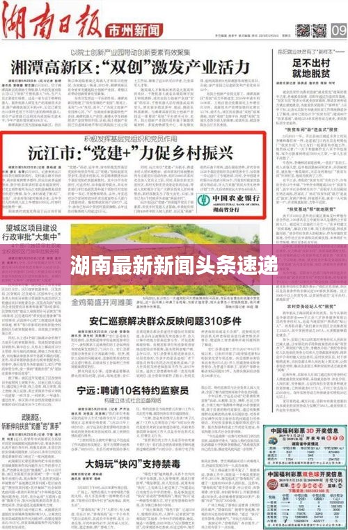 湖南最新新闻头条速递