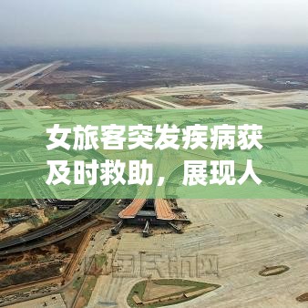 fengmaolinjue 第2页