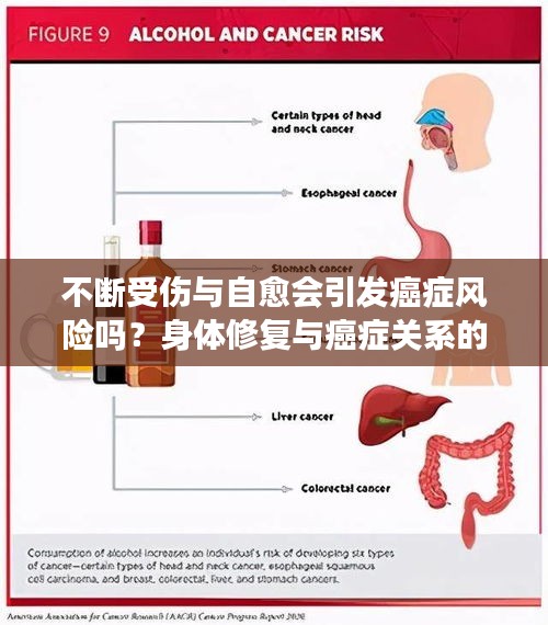 jingchaibuqun 第6页