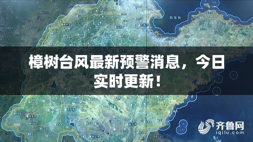 走马观花 第6页