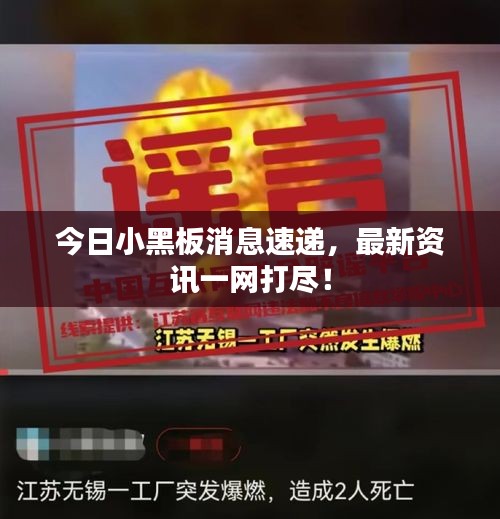 今日小黑板消息速递，最新资讯一网打尽！
